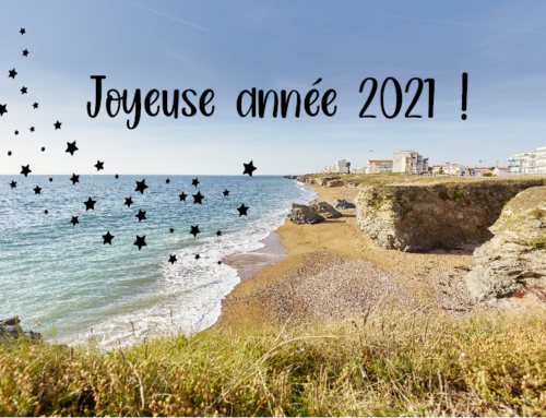 A happy new year 2021 in Vendée !