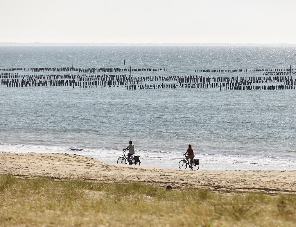 TOP 5 des activités à faire en famille en Vendée cet été | OceaVilla