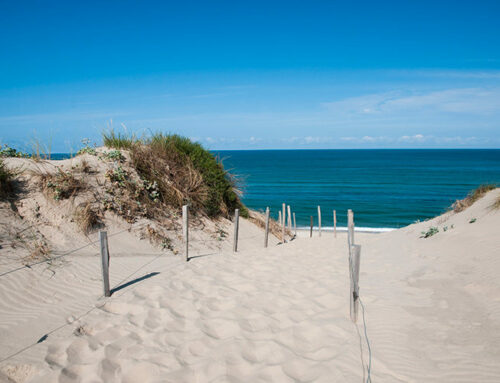 Les plus belles plages de Vendée pour se détendre ou surfer !